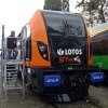 darek600141