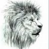 leo48