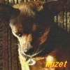wuzet
